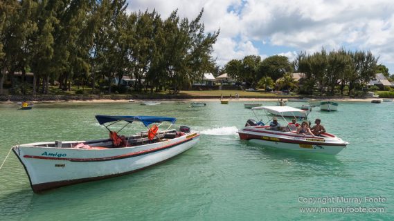 Archaeology, Architecture, History, Landscape, Mauritius, Notre Dame Auxiliatrice Chapel, Photography, seascape, Sir Seewoosagur Ramgoolam Botanical Garden, Travel, Wildlife