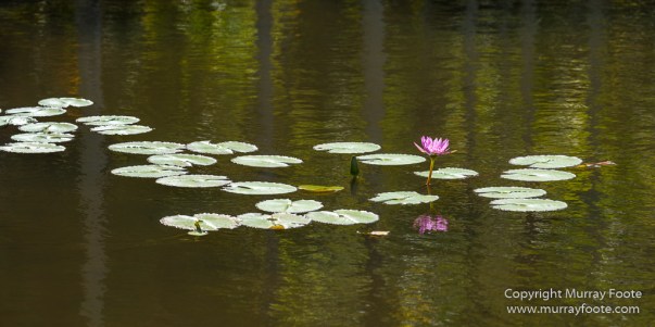 Archaeology, Architecture, History, Landscape, Mauritius, Notre Dame Auxiliatrice Chapel, Photography, seascape, Sir Seewoosagur Ramgoolam Botanical Garden, Travel, Wildlife