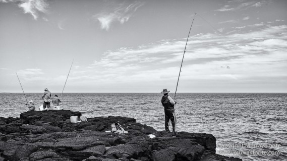 Architecture, Cilaos, Forêt de Bébour, Grand Galet, Hell-bourg, Landscape, Le Maido, Macro, Nature, Photography, Piton Sainte Rose, Reunion, Travel, Vieux port, Wilderness