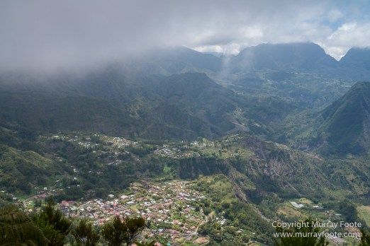 Architecture, Forêt de Bébour, Landscape, Macro, Nature, Photography, Reunion, seascape, Travel, Wilderness