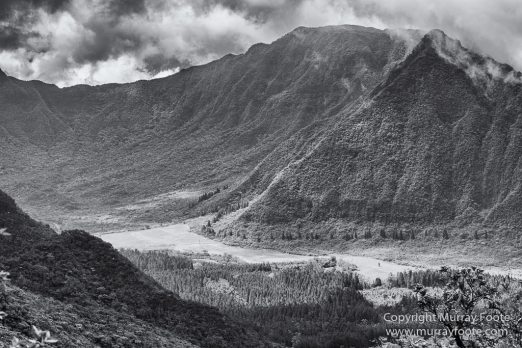 Architecture, Cilaos, Forêt de Bébour, Grand Galet, Hell-bourg, Landscape, Le Maido, Macro, Nature, Photography, Piton Sainte Rose, Reunion, Travel, Vieux port, Wilderness