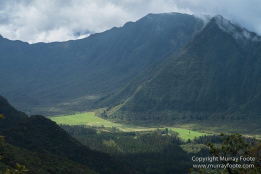 Architecture, Forêt de Bébour, Landscape, Macro, Nature, Photography, Reunion, seascape, Travel, Wilderness