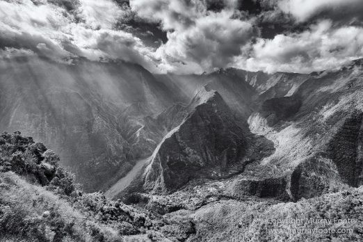 Architecture, Cilaos, Forêt de Bébour, Grand Galet, Hell-bourg, Landscape, Le Maido, Macro, Nature, Photography, Piton Sainte Rose, Reunion, Travel, Vieux port, Wilderness