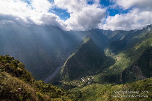 Architecture, Forêt de Bébour, Landscape, Macro, Nature, Photography, Reunion, seascape, Travel, Wilderness