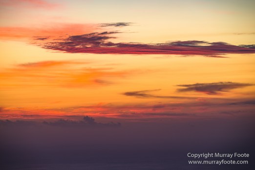 Architecture, Forêt de Bébour, Landscape, Macro, Nature, Photography, Reunion, seascape, Travel, Wilderness