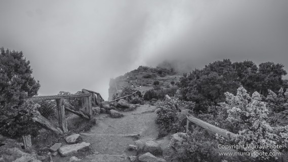 Architecture, Cilaos, Forêt de Bébour, Grand Galet, Hell-bourg, Landscape, Le Maido, Macro, Nature, Photography, Piton Sainte Rose, Reunion, Travel, Vieux port, Wilderness