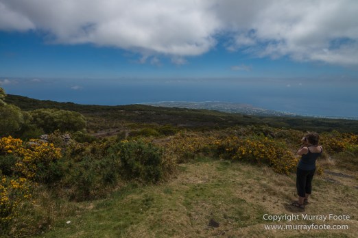 Architecture, Hell-bourg, Landscape, Le Maido, Macro, Nature, Photography, Reunion, Travel, Wilderness