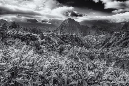 Architecture, Cilaos, Forêt de Bébour, Grand Galet, Hell-bourg, Landscape, Le Maido, Macro, Nature, Photography, Piton Sainte Rose, Reunion, Travel, Vieux port, Wilderness