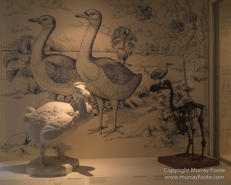 Architecture, Hell-bourg, Landscape, Le Maido, Macro, Nature, Photography, Reunion, Travel, Wilderness