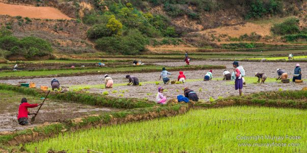 Antananarivo, Architecture, Landscape, Madagascar, Photography, Street photography, Travel