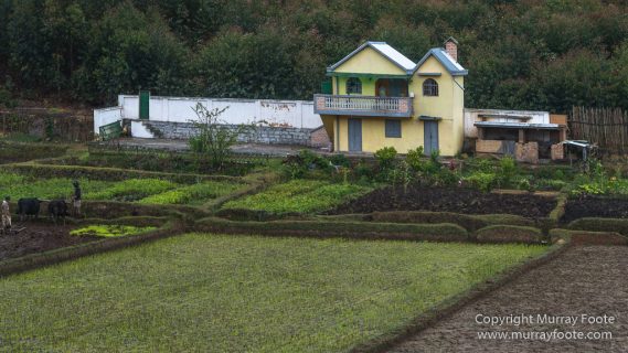 Antananarivo, Architecture, Landscape, Madagascar, Photography, Street photography, Travel