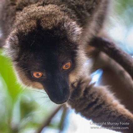 Architecture, Landscape, Madagascar, Marozevo, Nature, Peyrieras Nature reserve, Photography, Travel, Wilderness, Wildlife