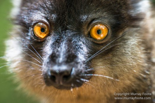 Architecture, Landscape, Madagascar, Marozevo, Nature, Peyrieras Nature reserve, Photography, Travel, Wilderness, Wildlife