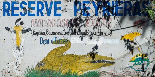 Architecture, Landscape, Madagascar, Marozevo, Nature, Peyrieras Nature reserve, Photography, Travel, Wilderness, Wildlife