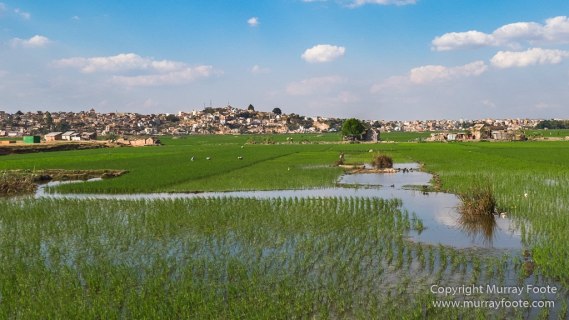 Antananarivo, Architecture, Landscape, Madagascar, Photography, Street photography, Travel