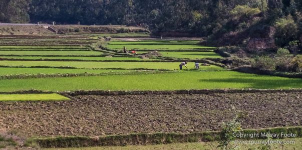 Antananarivo, Architecture, Landscape, Madagascar, Marozevo, Photography, Street photography, Travel