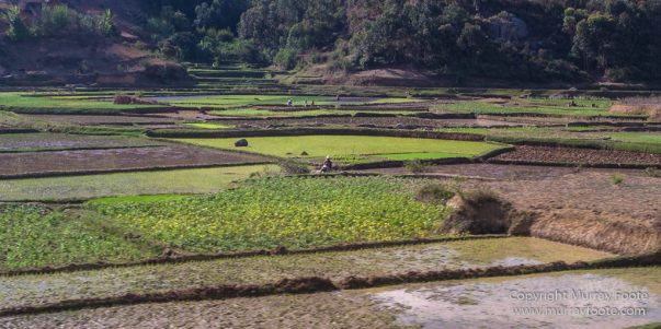 Antananarivo, Architecture, Landscape, Madagascar, Marozevo, Photography, Street photography, Travel