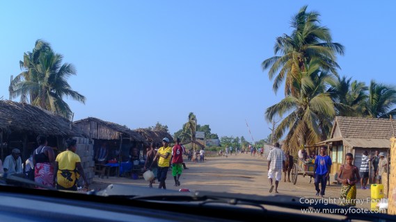 Avenue of the Baobabs, Landscape, Madagascar, Morondava, Photography, Street photography, Travel