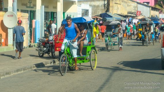 Avenue of the Baobabs, Baobabs, Carts, Kirindy, Landscape, Madagascar, Morondava, Nature, Photography, Travel, Wildlife, Zebu