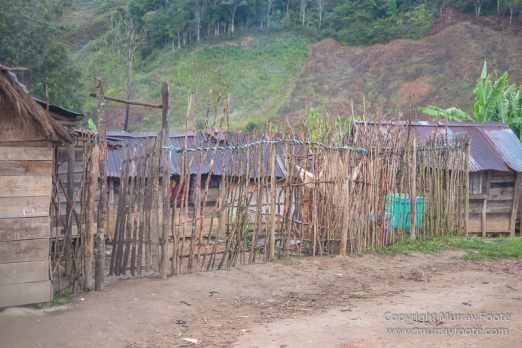 Gecko, Ground Roller, Landscape, Madagascar, Mantadia, Nature, Photography, Street photography, Travel, Wilderness, Wildlife