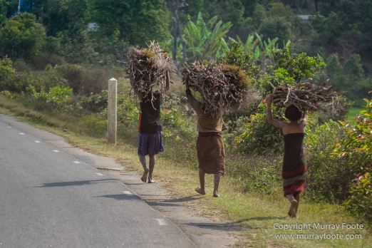Andasibe, Antananarivo, Landscape, Madagascar, Photography, Street photography, Travel