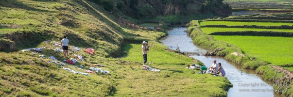 Andasibe, Antananarivo, Landscape, Madagascar, Photography, Street photography, Travel