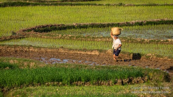 Andasibe, Antananarivo, Landscape, Madagascar, Photography, Street photography, Travel