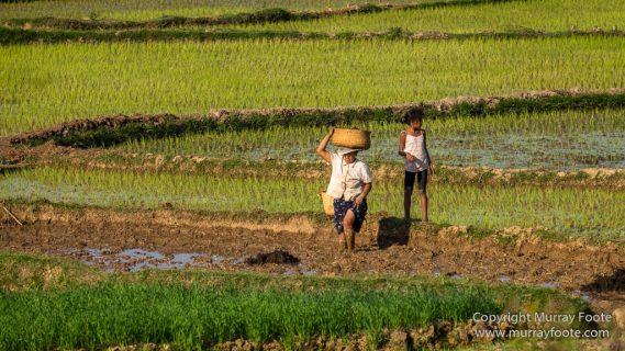 Andasibe, Antananarivo, Landscape, Madagascar, Photography, Street photography, Travel