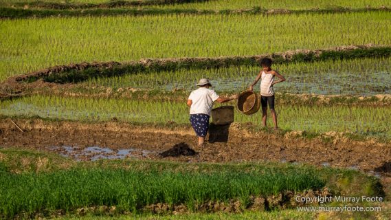 Andasibe, Antananarivo, Landscape, Madagascar, Photography, Street photography, Travel
