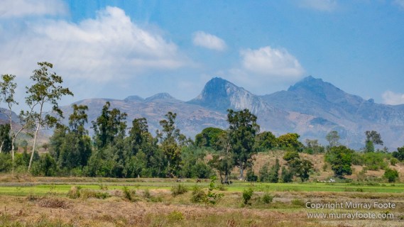 Berenty, Landscape, Madagascar, Photography, Port Dauphin, Street photography, Trave