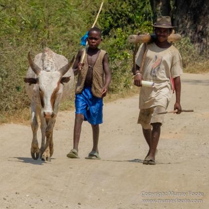 Berenty, Landscape, Madagascar, Photography, Port Dauphin, Street photography, Trave