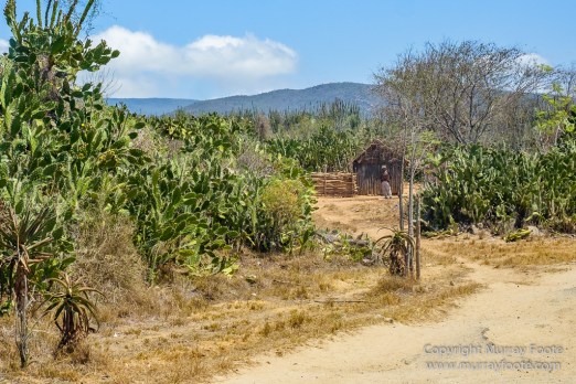 Berenty, Landscape, Madagascar, Photography, Port Dauphin, Street photography, Trave