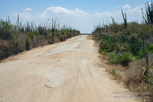 Berenty, Landscape, Madagascar, Photography, Port Dauphin, Street photography, Trave