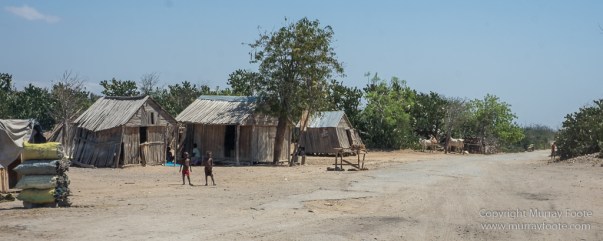 Berenty, Landscape, Madagascar, Photography, Port Dauphin, Street photography, Trave