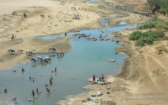 Berenty, Landscape, Madagascar, Photography, Port Dauphin, Street photography, Trave
