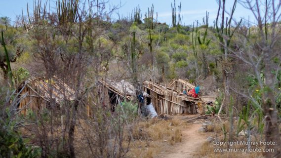Antananarivo, Berenty, Landscape, Madagascar, Photography, Port Dauphin, Street photography, Travel