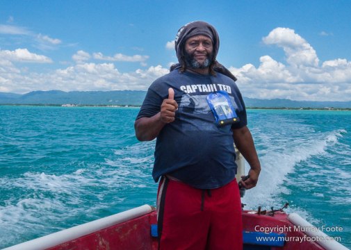 Architecture, Boats, Landscape, Photography, seascape, Street photography, Travel, Wildlife