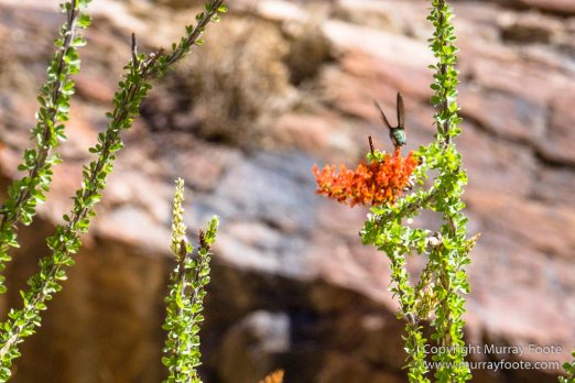 Art, Photography, Salton Sea, Sculpture, Travel, USA