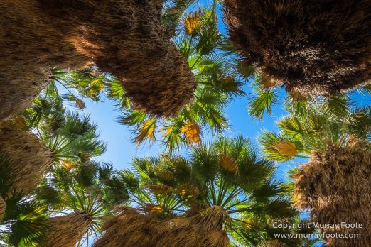 Art, Photography, Salton Sea, Sculpture, Travel, USA