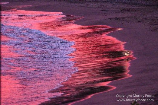 Architecture, Boats, Landscape, Photography, seascape, Street photography, Travel, Wildlife