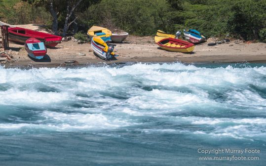 Architecture, Boats, Landscape, Photography, seascape, Street photography, Travel, Wildlife