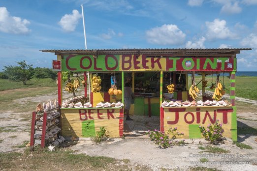 Architecture, Boats, Landscape, Photography, seascape, Street photography, Travel, Wildlife