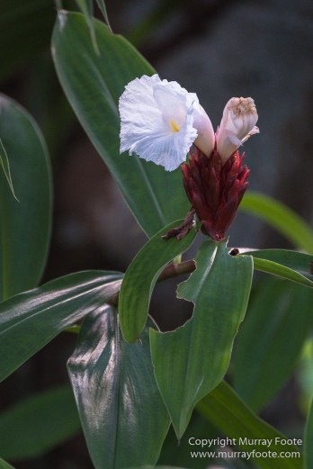 Architecture, Boats, Landscape, Photography, seascape, Street photography, Travel, Wildlife