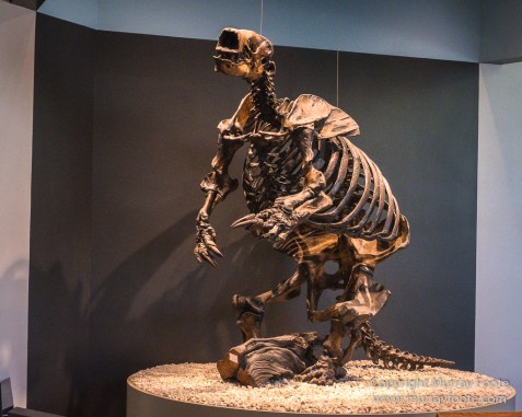 Archaeology, Art, La Brea Tar Pits, LA County Museum, Photography, Travel, USA