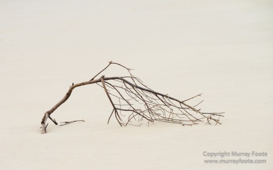 Australia, Landscape, Lighthouses, Nature, Photography, Point Hicks, seascape, Travel, Wilderness, Wildlife