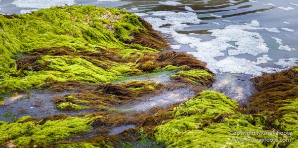 Australia, Landscape, Lighthouses, Nature, Photography, Point Hicks, seascape, Travel, Wilderness, Wildlife