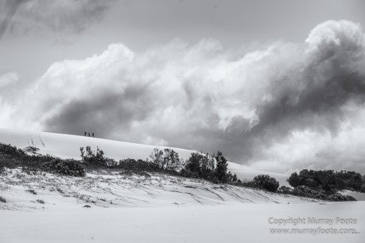 Australia, Black and White, Landscape, Lighthouses, Monochrome, Nature, Photography, Point Hicks, seascape, Travel, Wilderness