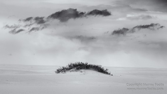 Australia, Black and White, Landscape, Lighthouses, Monochrome, Nature, Photography, Point Hicks, seascape, Travel, Wilderness