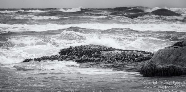 Australia, Black and White, Landscape, Lighthouses, Monochrome, Nature, Photography, Point Hicks, seascape, Travel, Wilderness
