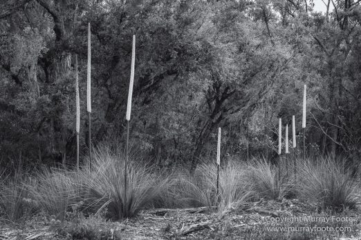 Australia, Black and White, Landscape, Lighthouses, Monochrome, Nature, Photography, Point Hicks, seascape, Travel, Wilderness